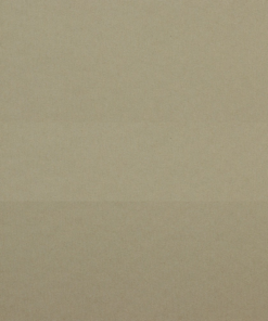 Jean Beige