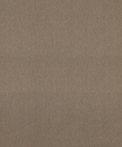 Jean Taupe