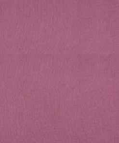 Double gaze Violet