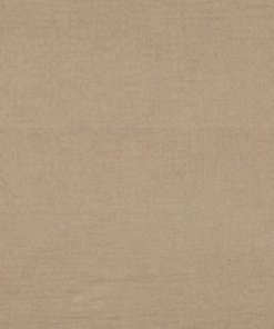 Double gaze Beige